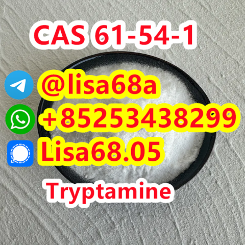 CAS 61-54-1 Tryptamine C10H12N2