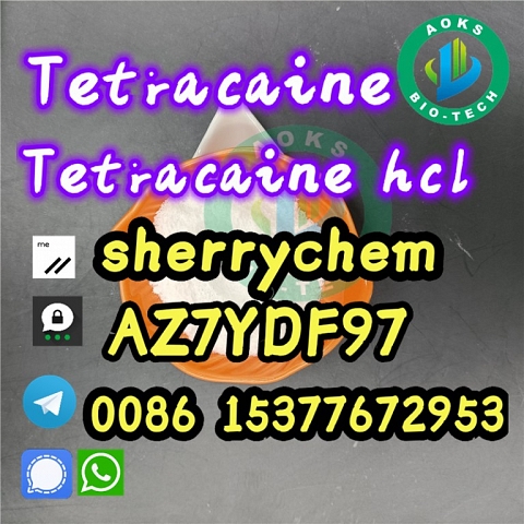 Factory Supply Top Quality Tetracaine Powder 94-24-6 Tetracaine Base Tetracaine 