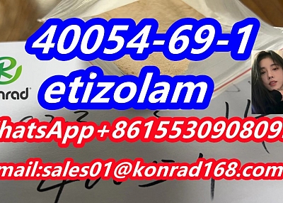  etizolam  CAS 40054-69-1