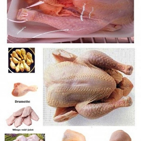 Frozen Chicken