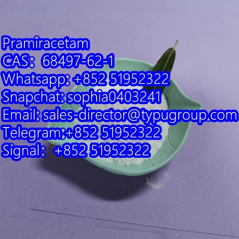 Pramiracetam CAS68497-62-1