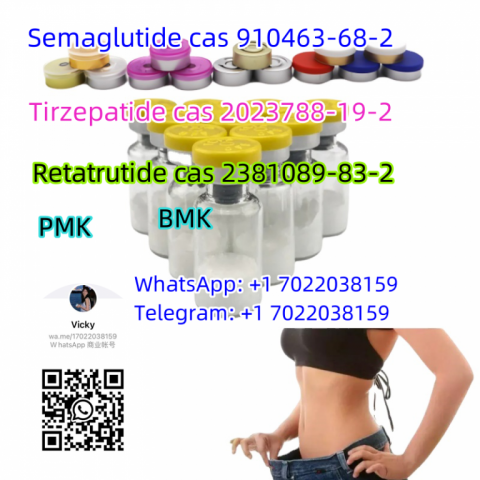 cas 910463-68-2 Semaglutide Tirzepatide cas 2023788-19-2 Selank Semax 