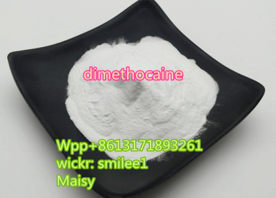 Dimethocaine CAS94-15-5