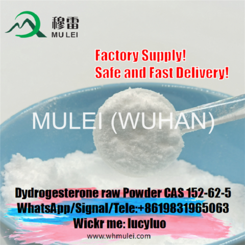 Supply Pharmaceutical Dydrogesterone Powder CAS 152-62-5 Raw Steroid Powder 