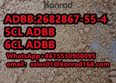 ADB-BUTINACA CAS:2682867-55-4