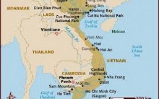 Vietnam searches digit growth from German market (By Sylodium, international trade directory)