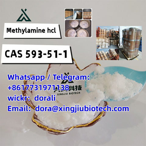 Fast shipping Methylamine hydrochloride Methylamine hcl 593-51-1