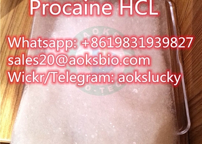 Procaine Hydrochloride / Procaine HCl CAS 51-05-8