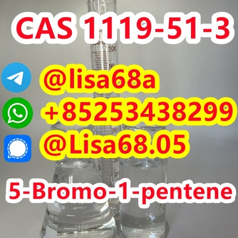 CAS 1119-51-3 5-Bromo-1-pentene C5H9Br