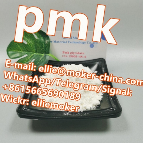 Globally Popular Pmk Glycidate Powder CAS 13605-48-6 with High Purity