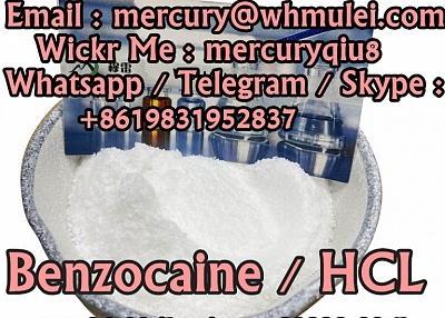  benzocaine purity benzocaine hcl  benzocaine hcl powder  Benzocaine Hydrochloride powder 