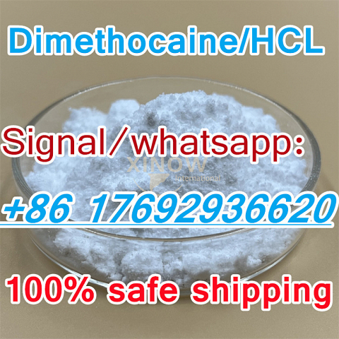 Factory Supply High Quality chemical material Dimethocaine,Dimethocaine Hydrochloride,Dimethocaine h