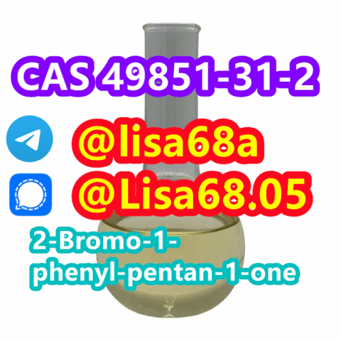 CAS 49851-31-2 2-Bromo-1-phenyl-pentan-1-one C11H13BrO