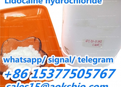 China factory supply 99.5% purity lidocaine hcl powder