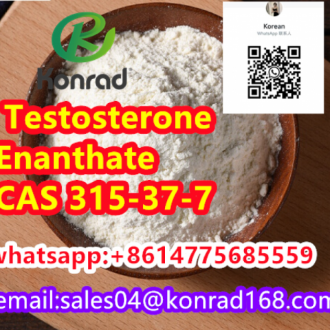  Testosterone Enanthate:CAS 315-37-7