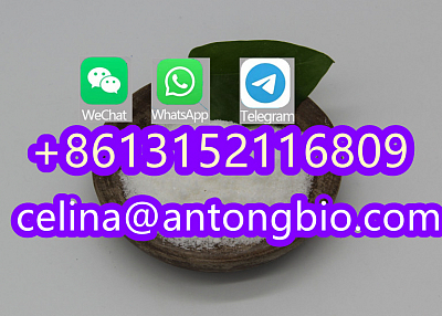 99% Purity New Product Local Anesthetic Powder Larocaine CAS 94-15-5