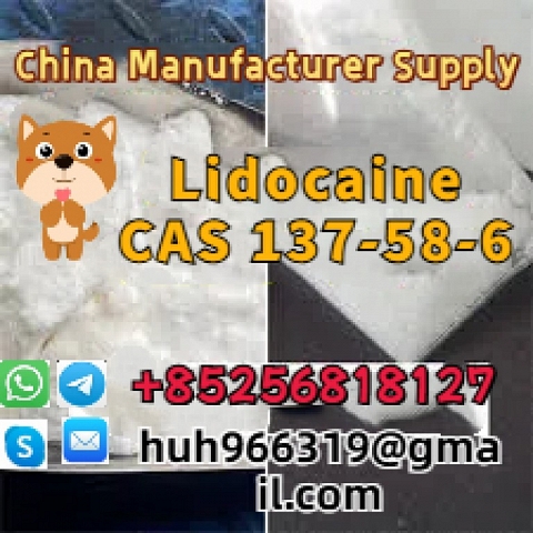 Sell CAS 137-58-6 Lidocaine crystal Door to Door Safe