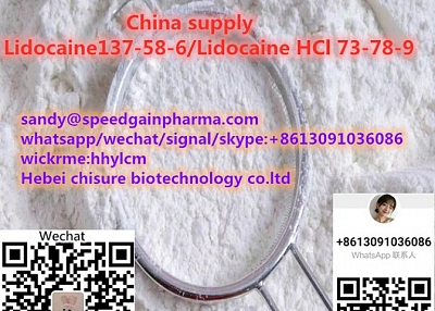 China supply Lidocaine CAS 137-58-6 Lidocaine HCl CAS 73-78-9,whatsapp:+8613091036086