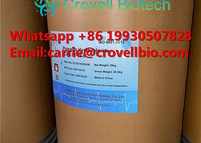 Procaine Hcl CAS 7699-39-0 whatsapp:+86-19930507828 email:carrie@crovellbio.com