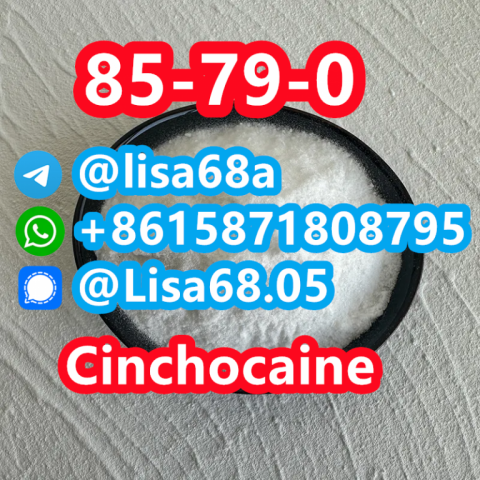 CAS 85-79-0 Cinchocaine C20H29N3O2