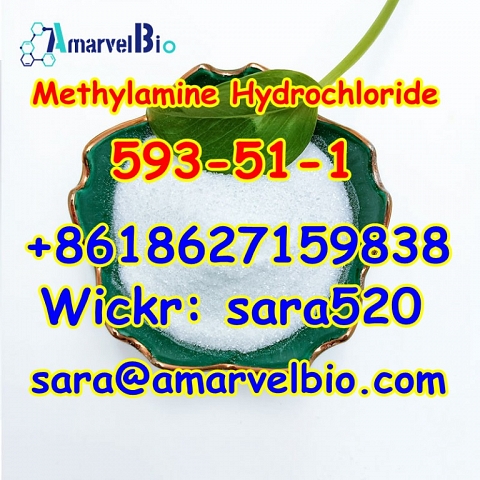 +8618627159838 Methylamine Hydrochloride CAS 593-51-1 Research Chemical with Fast Delivery