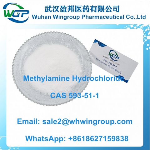 +8618627159838 Methylamine Hydrochloride CAS 593-51-1 with Stable Supply