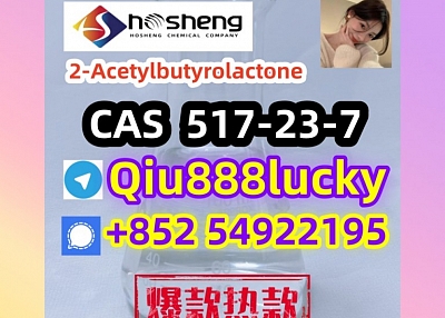  517-23-7  2-Acetylbutyrolactone  