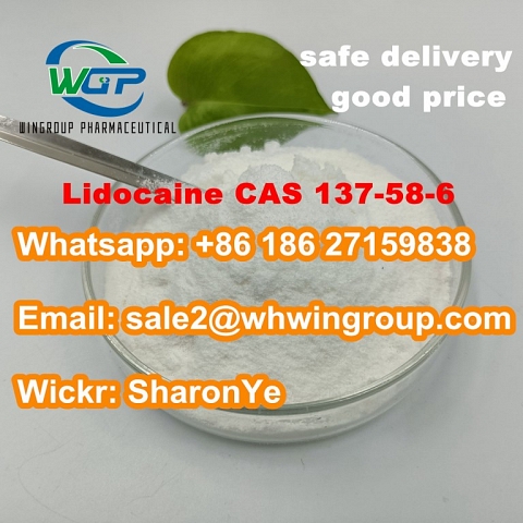 +8618627159838 Lidocaine CAS 137-58-6 Benzocaine/Tetracaine with High Quality 100% Customs Clearnace