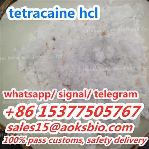 Tetracaine Hydrochloride Tetracaine HCl Powder tetracaine powder