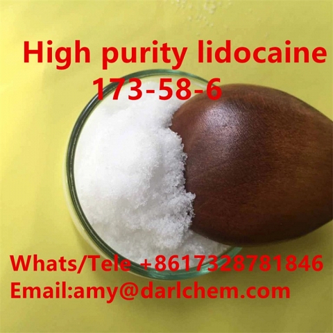 High Quality Lidocaine HCl 99% CAS 137-58-6