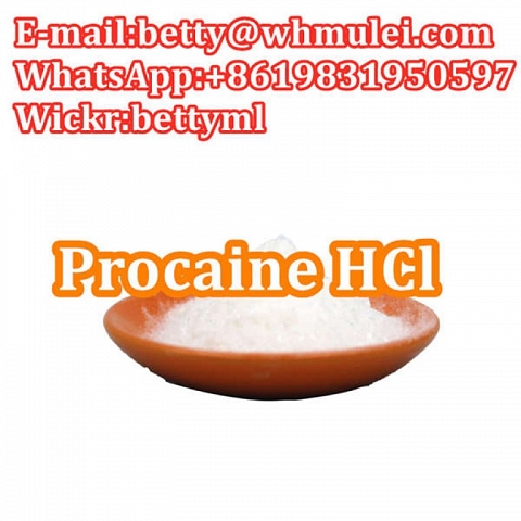 Cas:51-05-8 factory procaine hydrochloride procaine hcl powder favorable price safe delivery