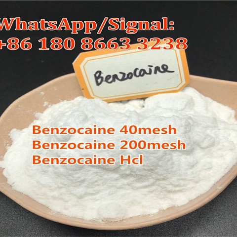 China supply Benzocaine CAS 94-09-7