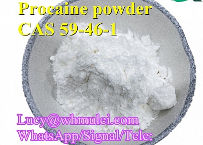 Procaine Powder CAS 59-46-1 Procaine Base Hydrocarbon Halide Popular in Australia USA Mexico