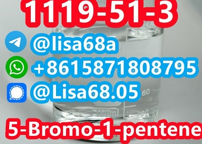 CAS 1119-51-3 5-Bromo-1-pentene C5H9Br