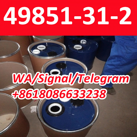 WA+8618086633238 2-Bromo-1-phenyl CAS 49851-31-2