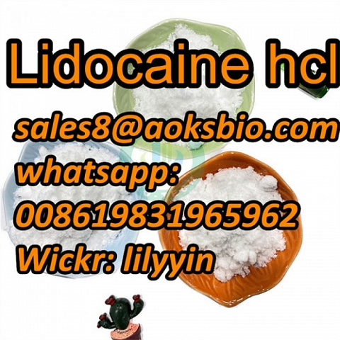 Factory Stock,100% Safe Delivery Lidocaine hcl,73-78-9, 59-46-1, 94-09-7,137-58-6,