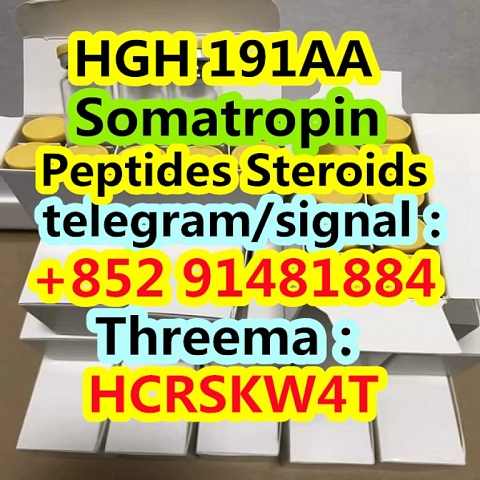 HGH 191AA Somatropin cas 126-01-5