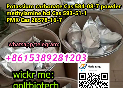 Safe shipment Methylamine hydrochloride Cas no. 593-51-1 China vendor Wickr:goltbiotech