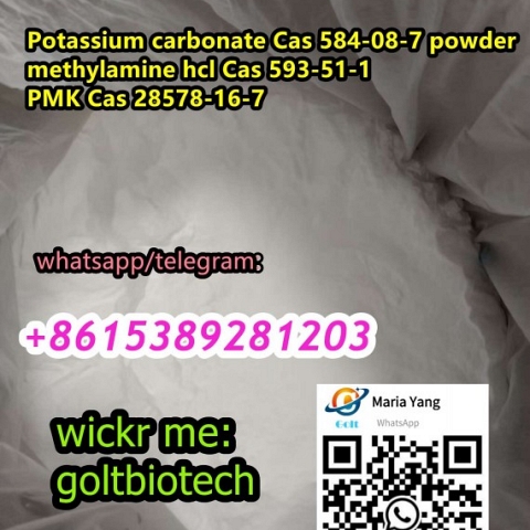 Best price methylamine hcl Cas 593-51-1 powder WAPP/teleg:+8615389281203