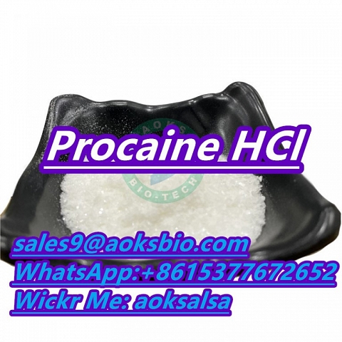 Buy procaine hcl powder cas 51-05-8 procaine hcl 