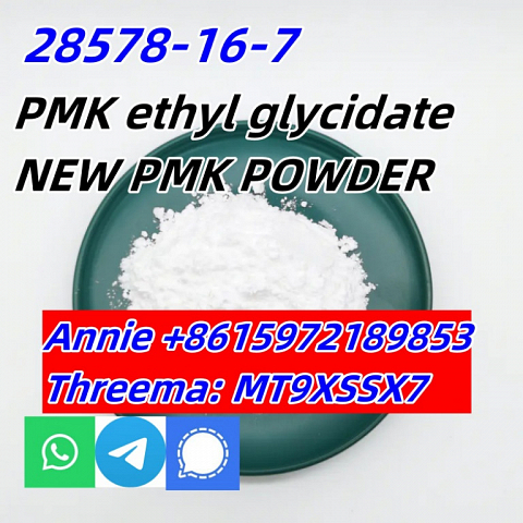 Top Quality Pmk Ethyl Glycidate Powder Oil 100% Safe Shipping CAS 28578-16-7