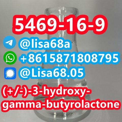 CAS 5469-16-9 (+/-)-3-hydroxy-gamma-butyrolactone C4H6O3