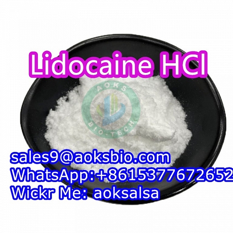 Lidocaine hcl powder cas 73-78-9 lidocaine hydrochloride China supplier