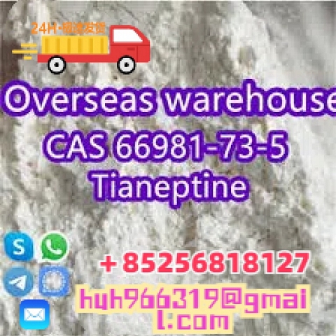 Venta de Tianeptina CAS66981-73-5 a proveedores de China