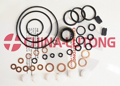 bosch diesel pump repair-case injection pump rebuild kit 1 417 010 003/800006 for JMC