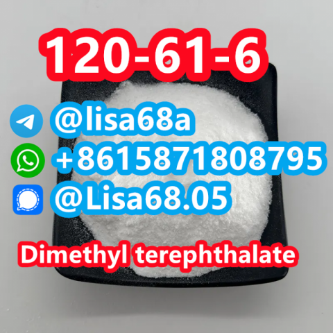 CAS 120-61-6 Dimethyl terephthalate C10H10O4