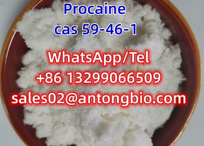 Procaine hcl CAS 59-46-1 C13H20N2O2