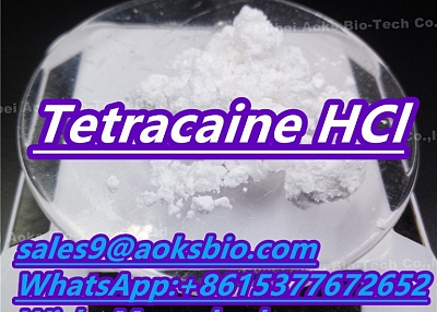 Tetracaine hcl powder cas 