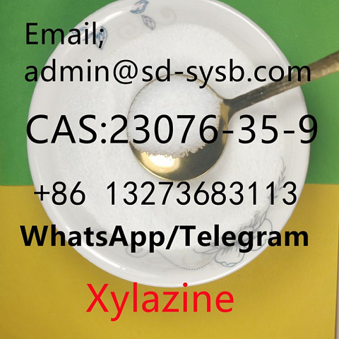  10 CAS:23076-35-9 Xylazine 