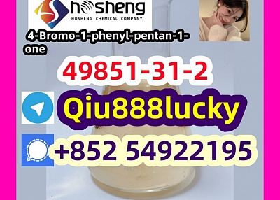 49851-31-2 4-Bromo-1-phenyl-pentan-1-one